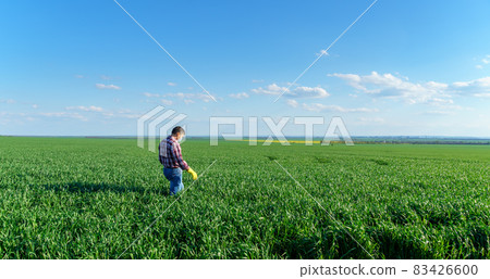 a man as a farmer poses in a field, dressed in a plaid shirt and jeans, protective face mask and rubber gloves, checks and inspects young sprouts crops of wheat, barley or rye, or other cereals 83426600