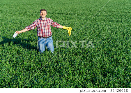 a man as a farmer poses in a field, dressed in a plaid shirt and jeans, protective face mask and rubber gloves, checks and inspects young sprouts crops of wheat, barley or rye, or other cereals 83426618