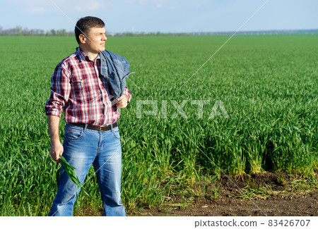 a man as a farmer walking along the field, dressed in a plaid shirt and jeans, checks and inspects young sprouts crops of wheat, barley or rye, or other cereals, a concept of agriculture and agronomy a man as a farmer walking along the field, dressed in a plaid shirt and jeans, checks and inspects young sprouts crops of wheat, barley or rye, or other cereals, a concept of agriculture and agronomy 83426707