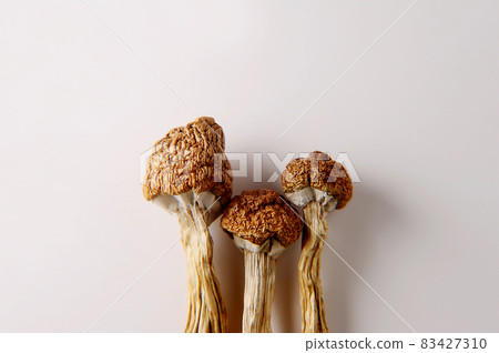 Micro-dosing concept. Dry psilocybin mushrooms on white background. 83427310
