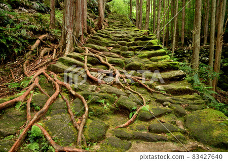 松本山口道路（伊勢道路）的鵝卵石[三重縣熊野市] 83427640