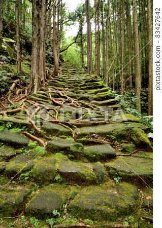 松本山口道路（伊勢道路）的鵝卵石[三重縣熊野市] 83427642