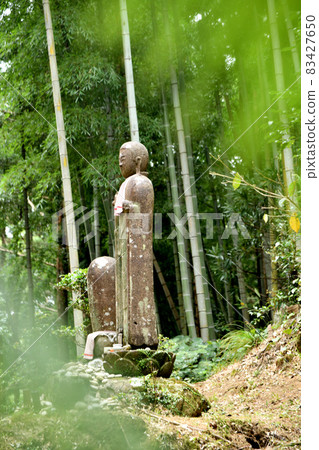 Jizo standing on the Matsumoto Pass (Ise Expressway) [Kumano City, Mie Prefecture] 83427650