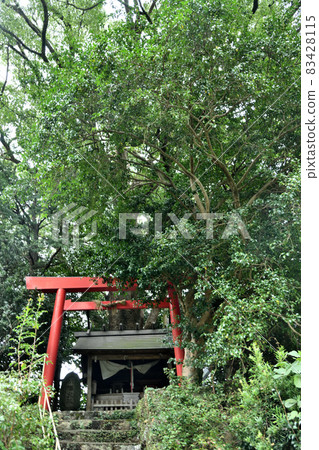 Xu Fukunomiya [Hadasucho, Kumano City, Mie Prefecture] 83428115