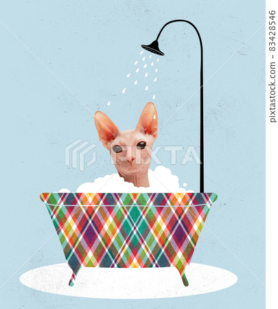 Contemporary art collage, modern creative design. Idea, inspiration, care, trend magazine style. Cat taking bath 83428546
