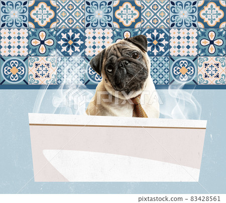 Contemporary art collage, modern creative design. Idea, inspiration, care, trend magazine style. Dog taking bath 83428561
