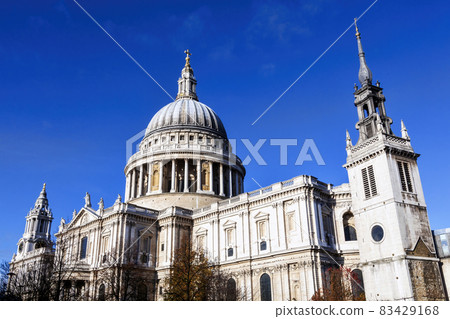 St Pauls Cathedral 83429168