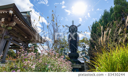 Tenjoji Temple Enmei Jizo 83430244