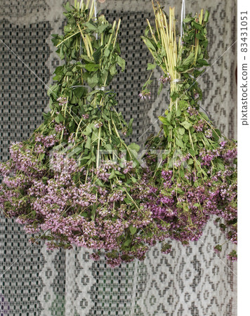 Bunches of oregano herbs. A healing plant with purple flowers. 83431051