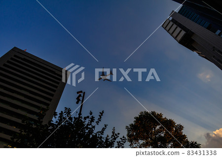 [Image material] Sunset sky and airplane 83431338