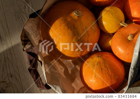 Several ripe pumpkins for Halloween. Autumn harvest. Several ripe pumpkins for Halloween. Autumn harvest. 83431684