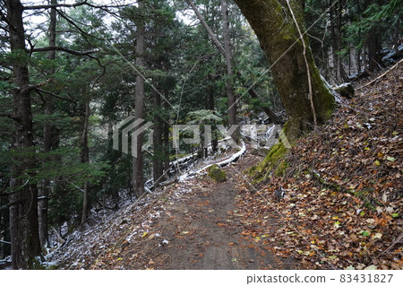 A mountain trail from Yunoko to Karikomi, Tochigi Prefecture, on a light snowy day 83431827