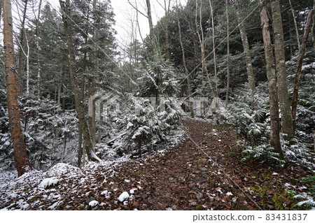 櫪木縣,從湯之子到 Karikomi 湖的山路,小雪天靠近 Karikomi 湖的地方 櫪木縣,從湯之子到 Karikomi 湖的山路,小雪天靠近 Karikomi 湖的地方 83431837
