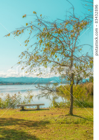 Kibagata Park Bench, Komatsu City, Ishikawa Prefecture Kibagata Park Bench, Komatsu City, Ishikawa Prefecture 83432896