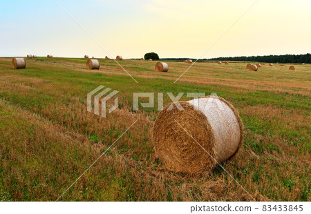 Haystack on field on blue sky background. Hay bale  83433845