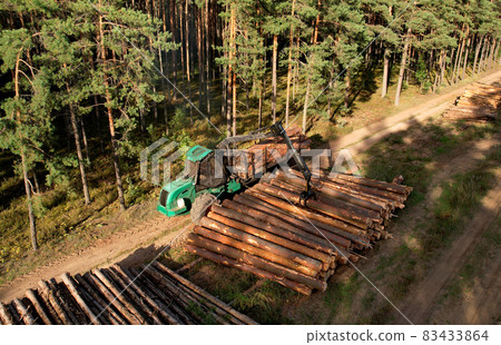 Crane forwarder machine during clearing of forested land. Wheeled harvester transports raw timber Crane forwarder machine during clearing of forested land. Wheeled harvester transports raw timber 83433864