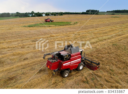 Combine harvester working in wheat field. Combine harvester working in wheat field. 83433867