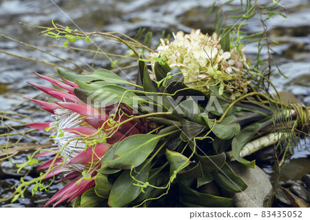 bloom, blossom, blossoms 83435052