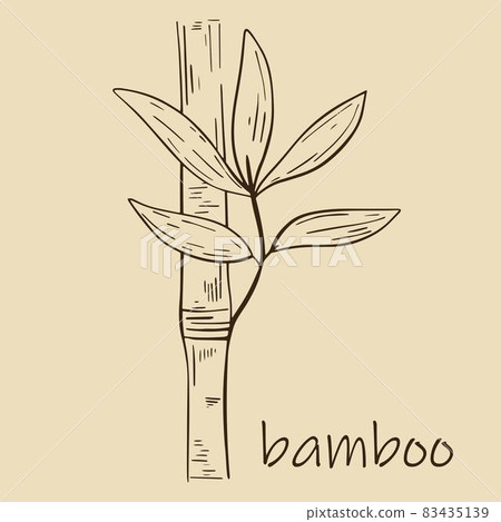 Bamboo stem with leaves isolated object. 83435139