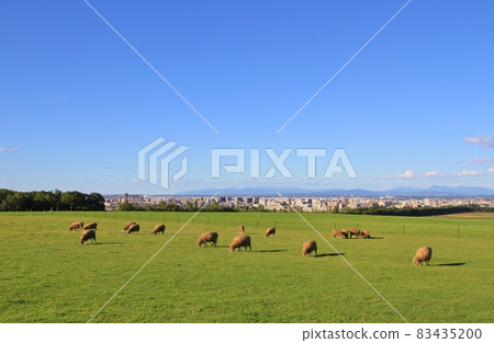 札幌羊之丘展望台（北海道札幌） 83435200