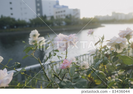 park, parks, pond 83436044