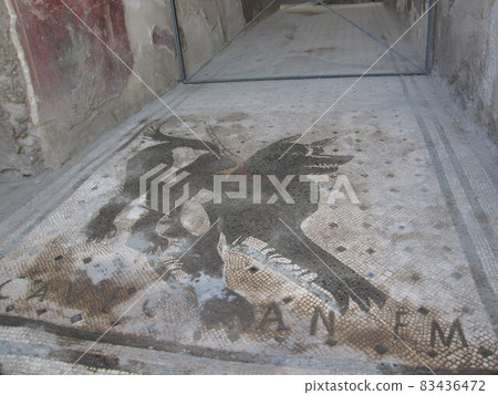 Mosaic painting of guard dog (7) at Pompei ruins on the outskirts of Naples, Italy Mosaic painting of guard dog (7) at Pompei ruins on the outskirts of Naples, Italy 83436472