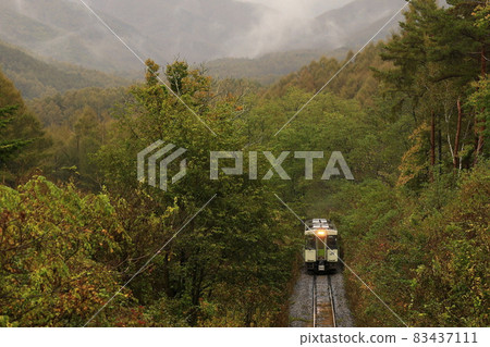 Koyama Line of autumn leaves 83437111