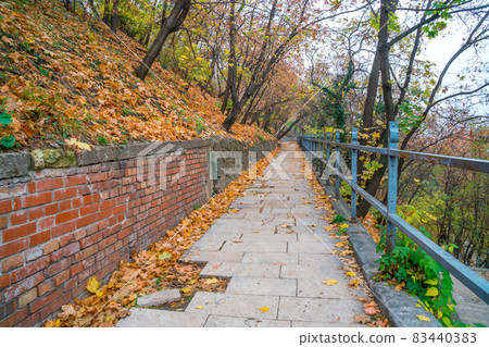 Park walkway at Buda Hill Castle, Budapest, Hungary. Autumn. 83440383