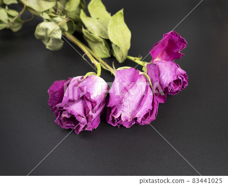 Beautiful pink roses dry and withered on a shiny black background 83441025