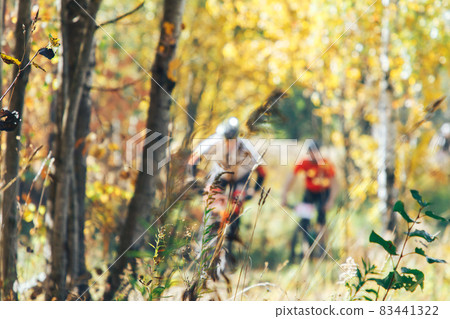 Two men riding bicycles along a forest trail 83441322
