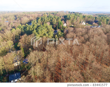 Countryside area in Walloon, Belgium, villas with garden surrounded by forest during winter. 83441577