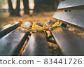 Autumn background 83441726