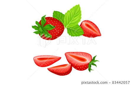 Mature Red Strawberry in Half with Leaves Vector Set 83442057