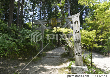 Chojuji Temple, the entrance to the approach to Shirayama Shrine, Konan City, Shiga Prefecture Chojuji Temple, the entrance to the approach to Shirayama Shrine, Konan City, Shiga Prefecture 83442541