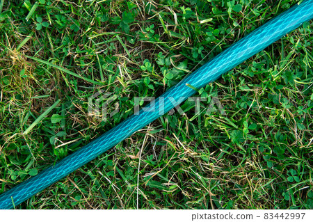 Garden hose lying on the green grass close up Garden hose lying on the green grass close up 83442997