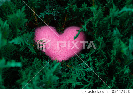 Pink woolen heart on the juniper or tuya branches 83442998