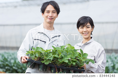 拿著草莓苗的年輕男女 83444148