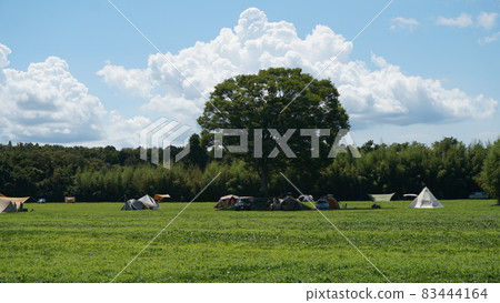 Ichibanboshi Village Campsite 83444164