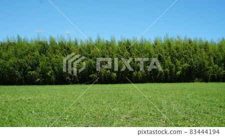 一番星村露營地 一番星村露營地 83444194