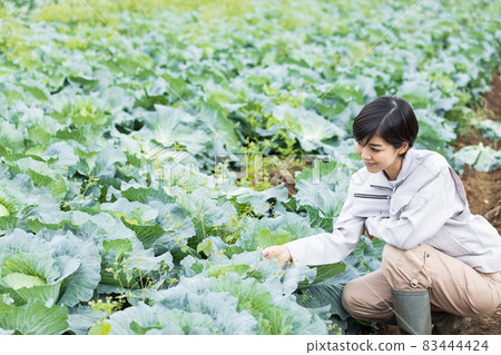 一個穿工作服的女人種白菜 83444424