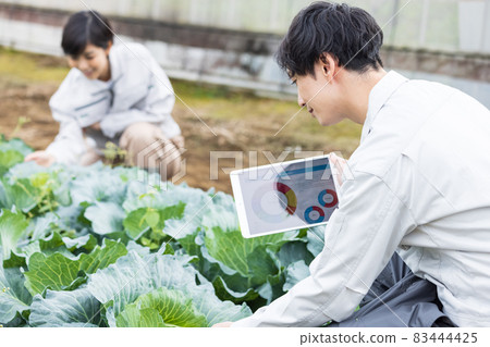 男男女女穿工裝種白菜 男男女女穿工裝種白菜 83444425