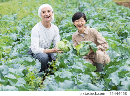 Young men and women raising cabbage Young men and women raising cabbage 83444468