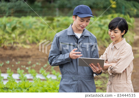Young men and women growing vegetables 83444535
