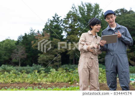 Young men and women growing vegetables Young men and women growing vegetables 83444574