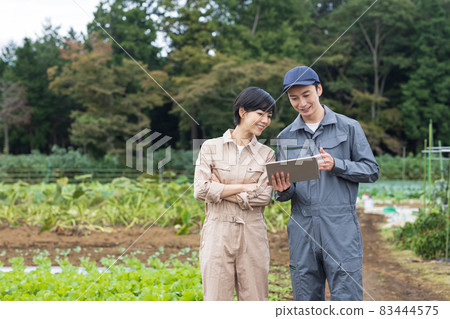 種植蔬菜的青年男女 種植蔬菜的青年男女 83444575