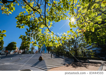 清爽的秋日陽光 川口西口公園 埼玉縣川口市 清爽的秋日陽光 川口西口公園 埼玉縣川口市 83444593