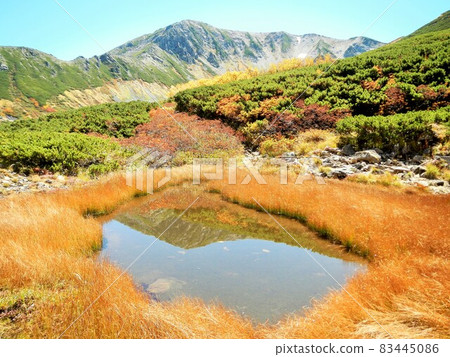 貝桑倒映在秋葉和池塘中 貝桑倒映在秋葉和池塘中 83445086