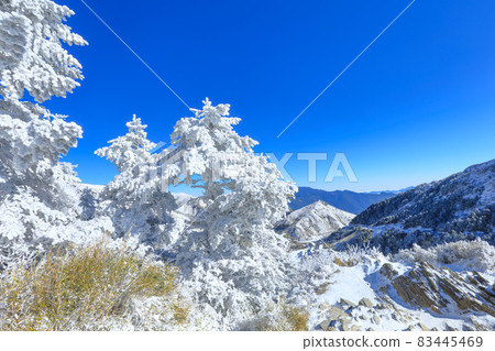 合歡山下雪 83445469
