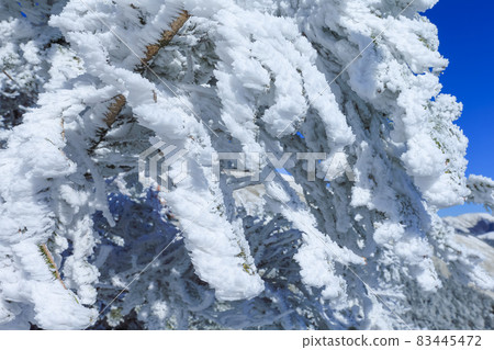 合歡山下雪 83445472
