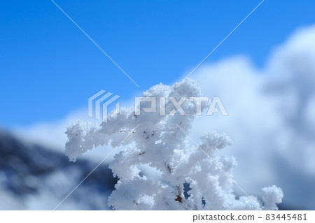 合歡山下雪 83445481